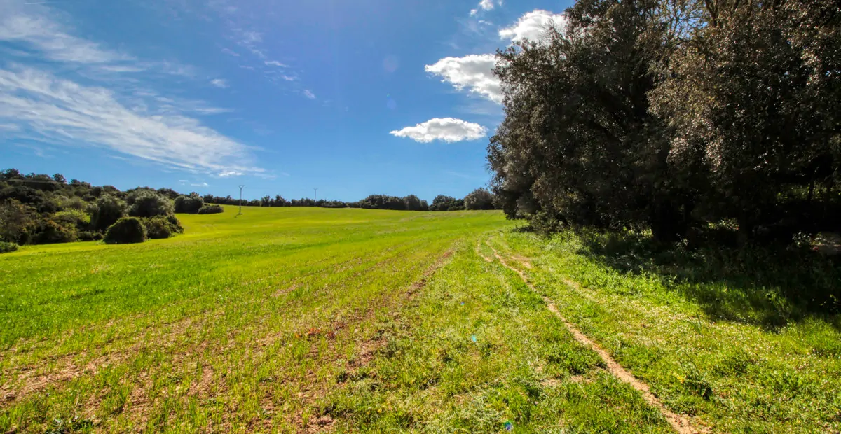 Zu-verkaufen-großes-Anwesen-von-mehr-als-36-Hektar-ehemaliger-Besitz-in-Sant LLorenç