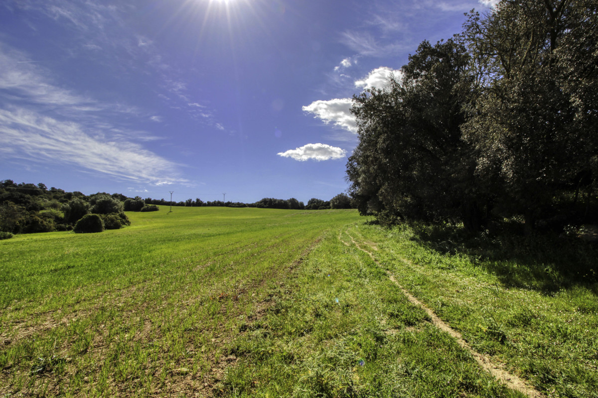 En-venta-gran-finca-de-más-de-36 hectáreas-antigua-“possessió”-en-Sant LLorenç