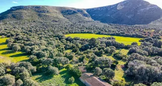 von_poll_real_estate_property_ES234252_image_29