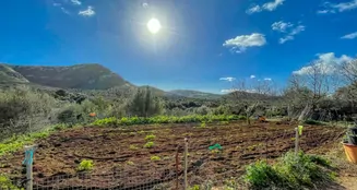 von_poll_real_estate_property_ES234252_image_32