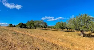 von_poll_real_estate_property_ES234252_image_37