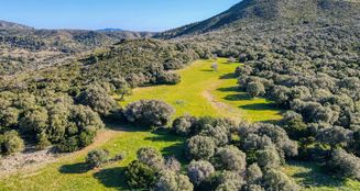 von_poll_real_estate_property_ES234252_image_15