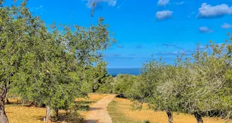 von_poll_real_estate_property_ES234252_image_36