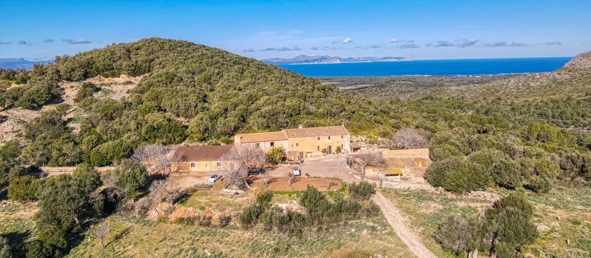 Photo 31-12-20, 12 14 05_19