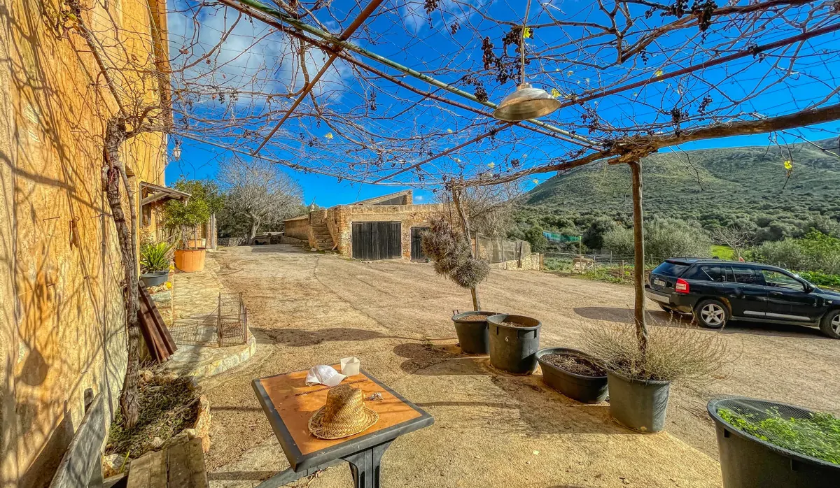 Photo 30-12-20, 12 39 06_5