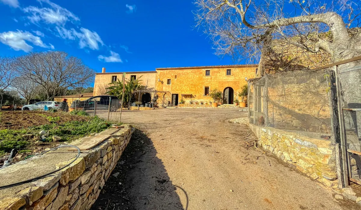 Photo 30-12-20, 12 57 03_10