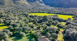 von_poll_real_estate_property_ES234252_image_5