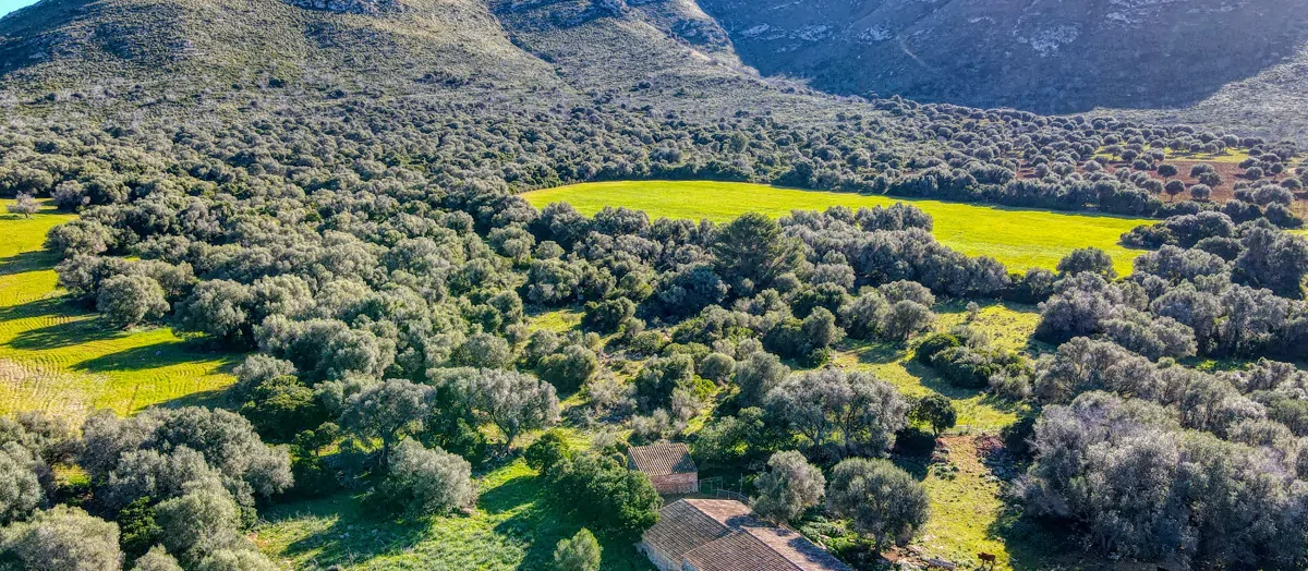 Photo 31-12-20, 12 13 55_16