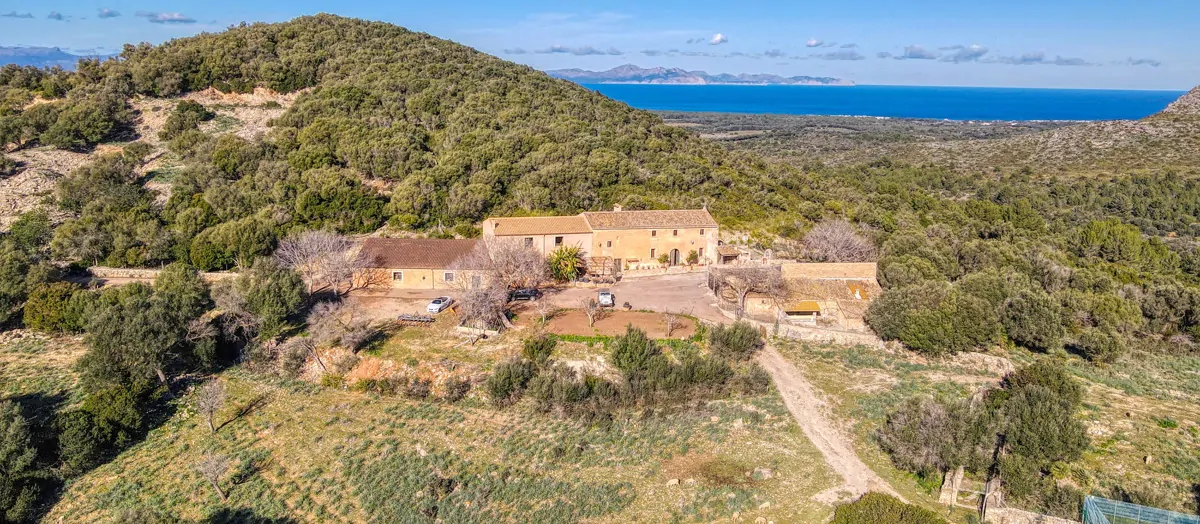 Photo 31-12-20, 12 13 44_15