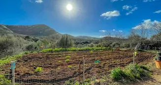 von_poll_real_estate_property_ES234252_image_8