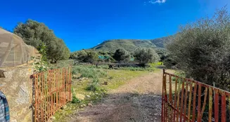 von_poll_real_estate_property_ES234252_image_9