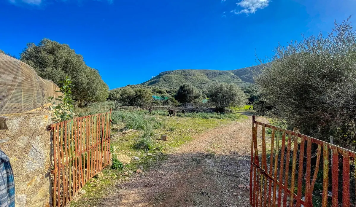 Photo 30-12-20, 12 56 35_7