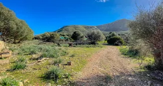 von_poll_real_estate_property_ES234252_image_10