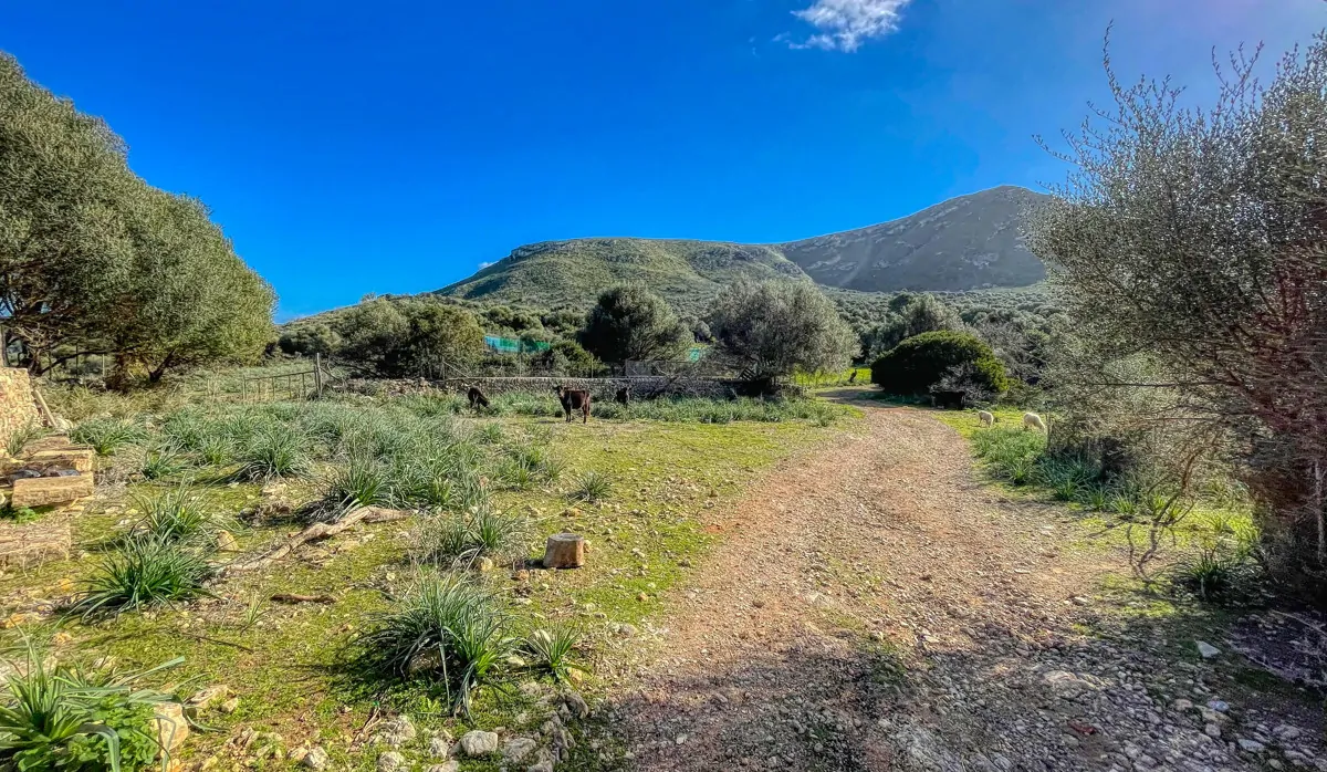 Photo 30-12-20, 12 56 41_8