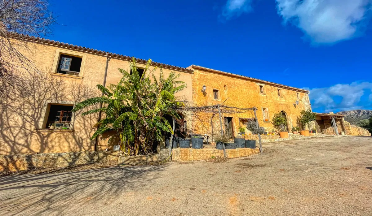 Photo 30-12-20, 12 31 08_2