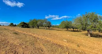 von_poll_real_estate_property_ES234252_image_13