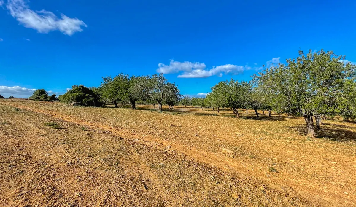 Photo 30-12-20, 13 00 16_13