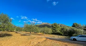 von_poll_real_estate_property_ES234252_image_14