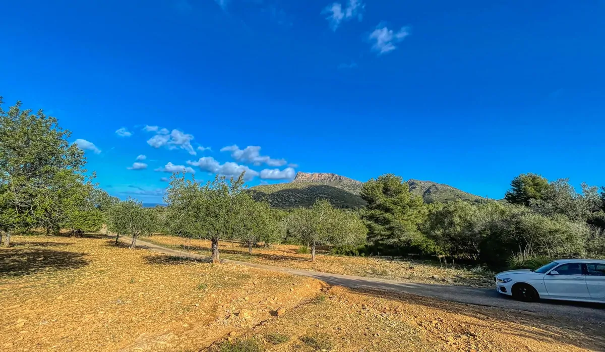 Photo 30-12-20, 13 00 24_14