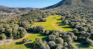 von_poll_real_estate_property_ES234252_image_15