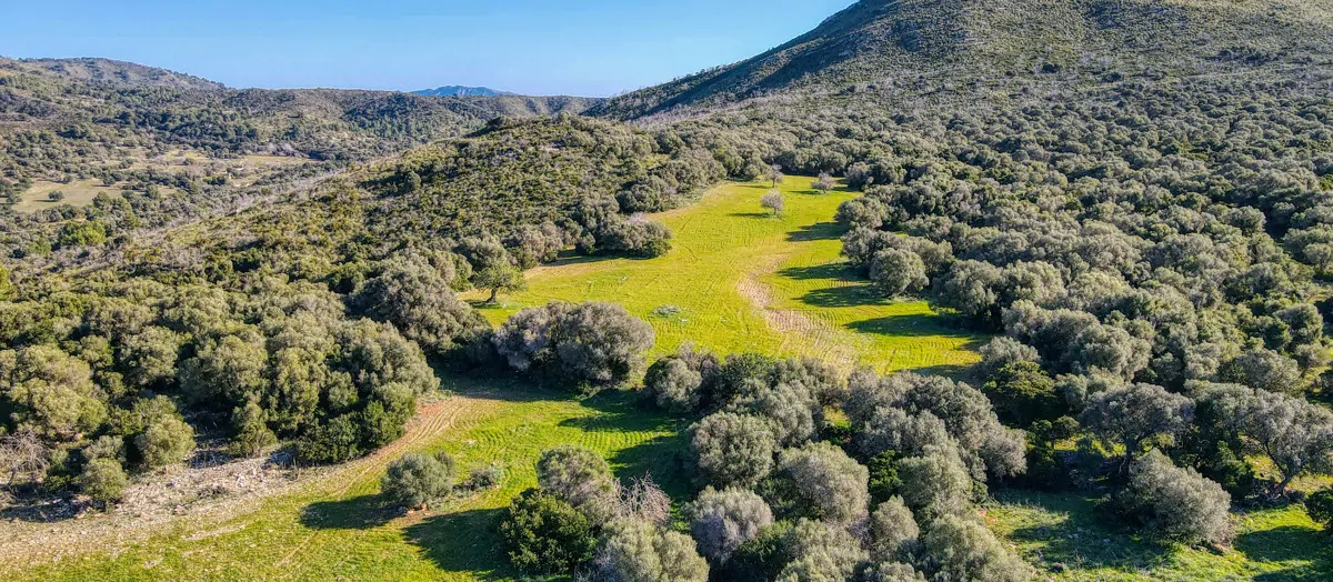 Photo 31-12-20, 12 14 01_18