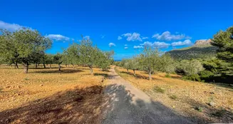 von_poll_real_estate_property_ES234252_image_11