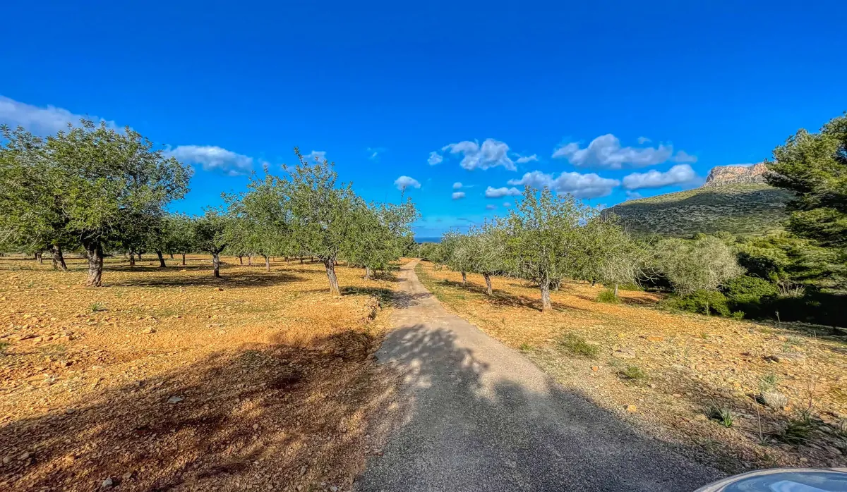 Photo 30-12-20, 13 00 00_11