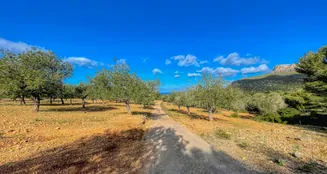 von_poll_real_estate_property_ES234252_image_11