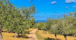 von_poll_real_estate_property_ES234252_image_12