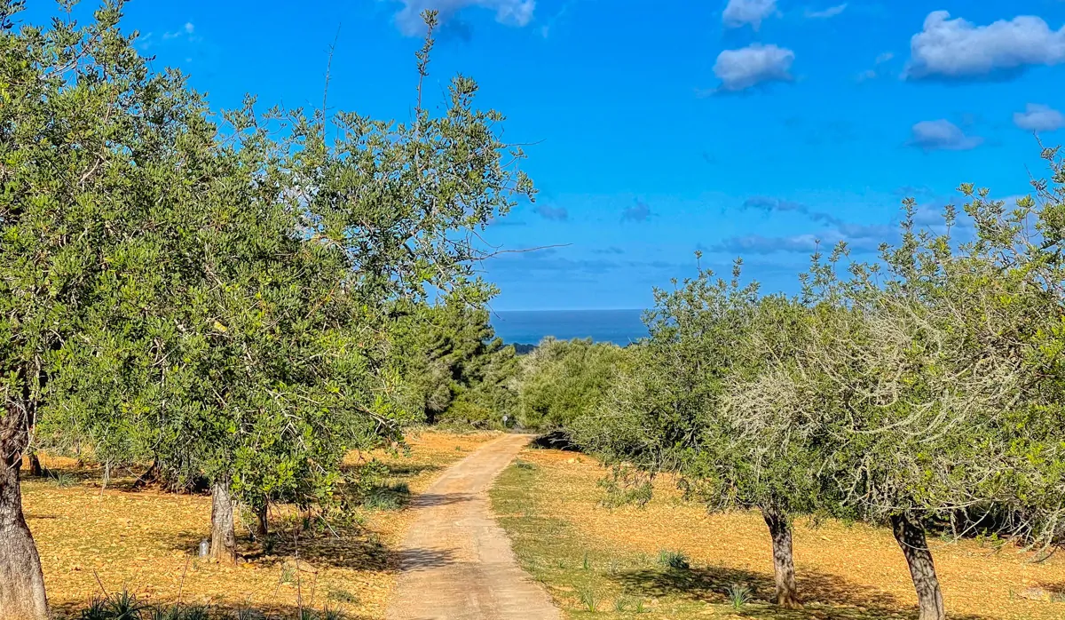 Photo 30-12-20, 13 00 02_12