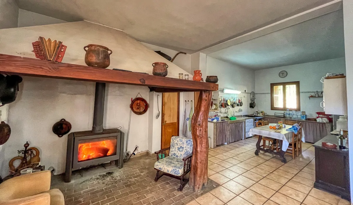 Photo 30-12-20, 12 36 53_14