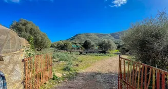 von_poll_real_estate_property_ES234252_image_57