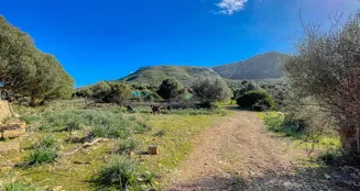 von_poll_real_estate_property_ES234252_image_58