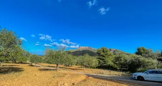 von_poll_real_estate_property_ES234252_image_62