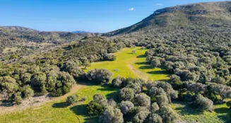 von_poll_real_estate_property_ES234252_image_63