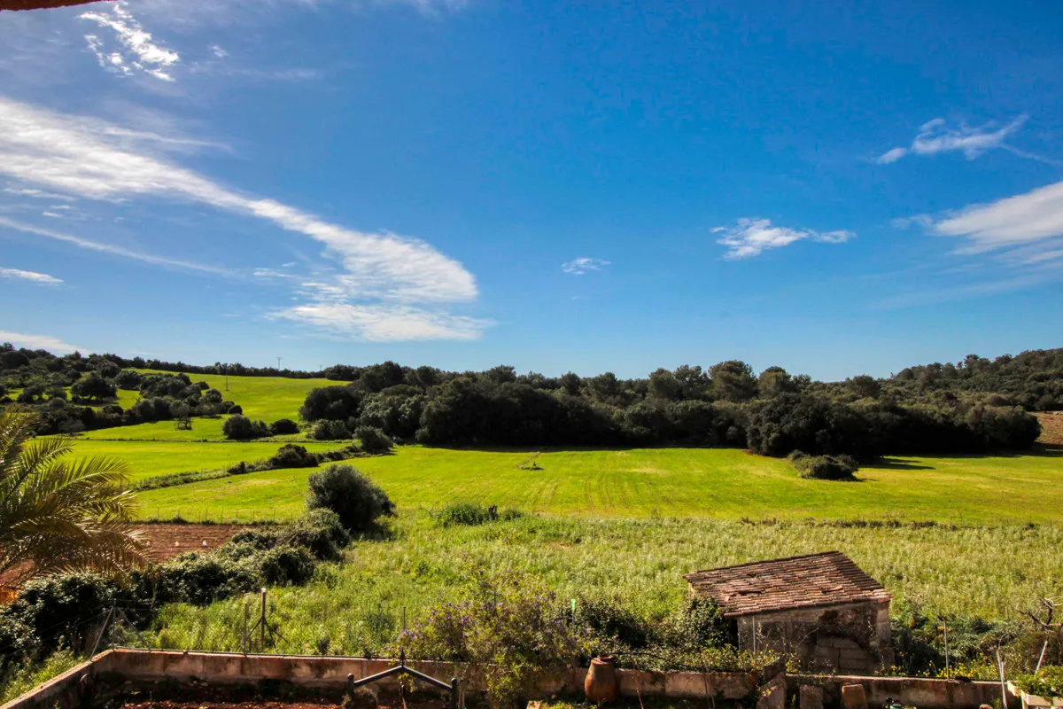 For-sale-large-estate-of-more-than-36-hectares-former-"possessió"-in-Sant-LLorenç.