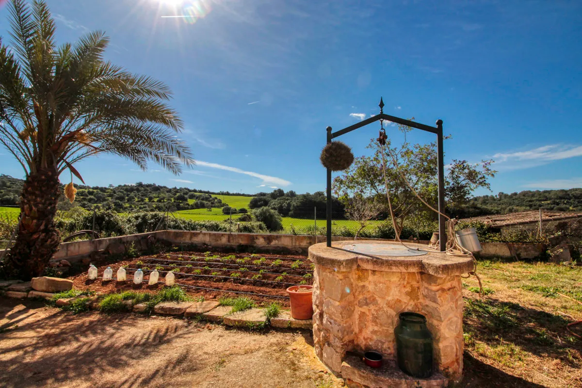 For-sale-large-estate-of-more-than-36-hectares-former-"possessió"-in-Sant-LLorenç.