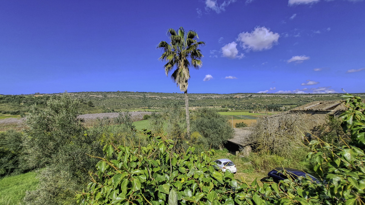 Zu-verkaufen-große-Finca-von-11-Hektar-mit-eigenem-Wasser-gut-und-Strom-in-der-Nähe-von-Manacor