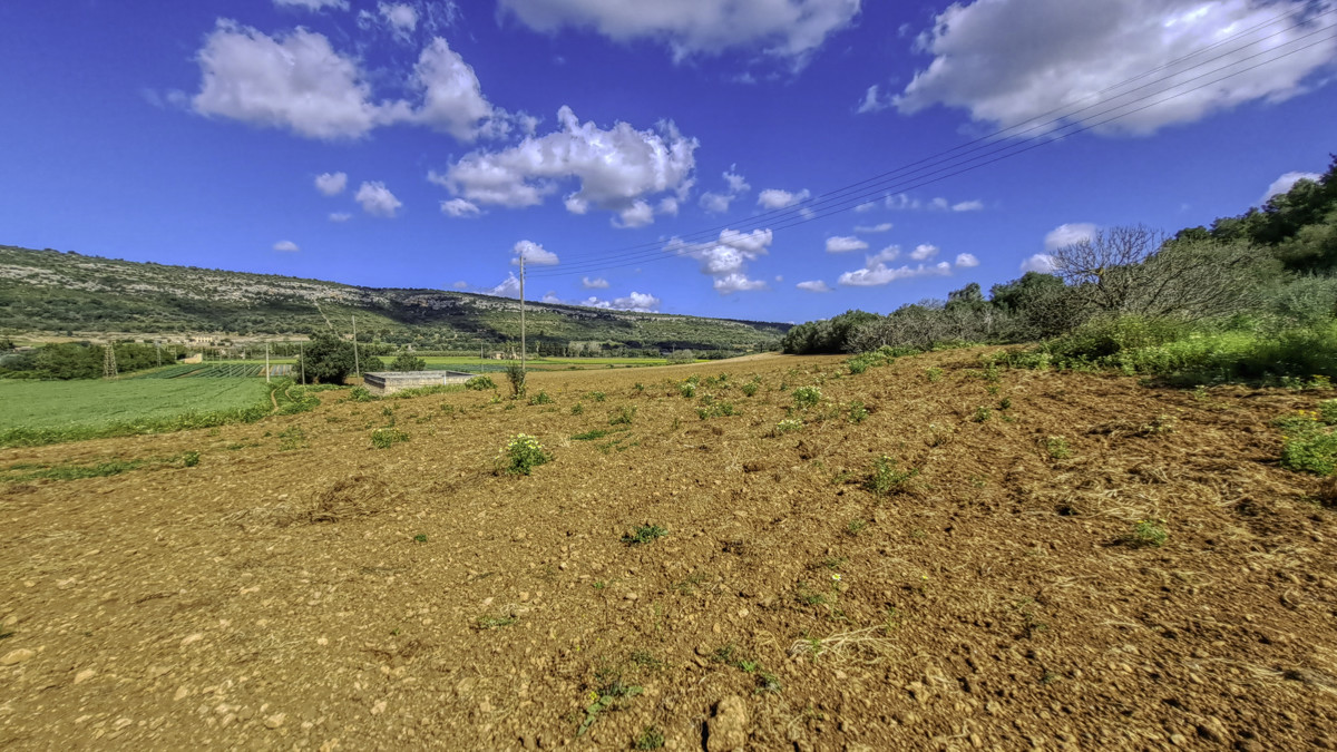 Zu-verkaufen-große-Finca-von-11-Hektar-mit-eigenem-Wasser-gut-und-Strom-in-der-Nähe-von-Manacor