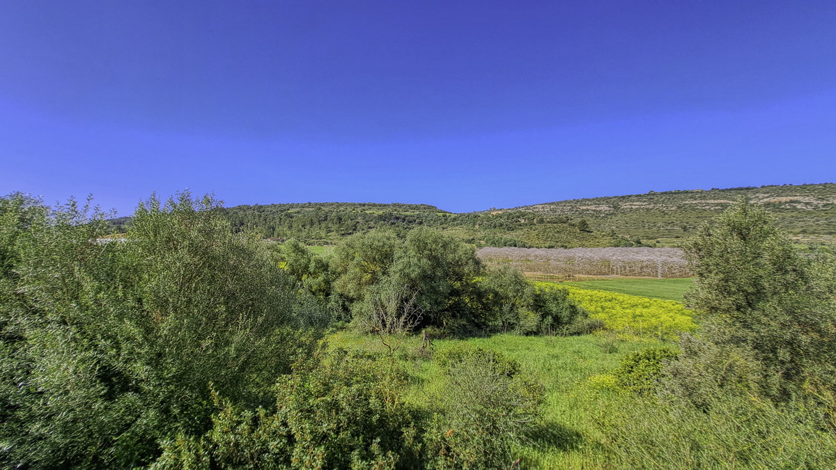 Zu-verkaufen-große-Finca-von-11-Hektar-mit-eigenem-Wasser-gut-und-Strom-in-der-Nähe-von-Manacor