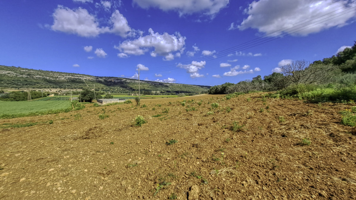 For-sale-large-finca-of-11-hectares-with-own-water-well-and-electricity-near-Manacor