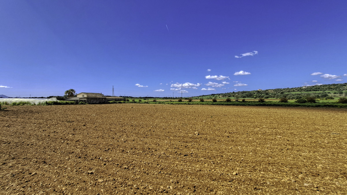 En-venta-gran-finca-con-casa-tradicional-posibilidad-de-reformar-y-construir-piscina-en-Manacor