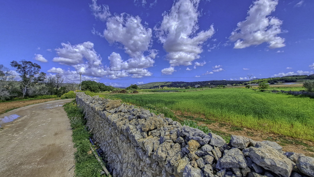En-venta-gran-finca-con-casa-tradicional-posibilidad-de-reformar-y-construir-piscina-en-Manacor