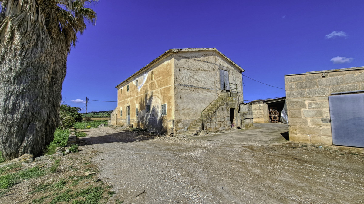 En-venta-gran-finca-con-casa-tradicional-posibilidad-de-reformar-y-construir-piscina-en-Manacor
