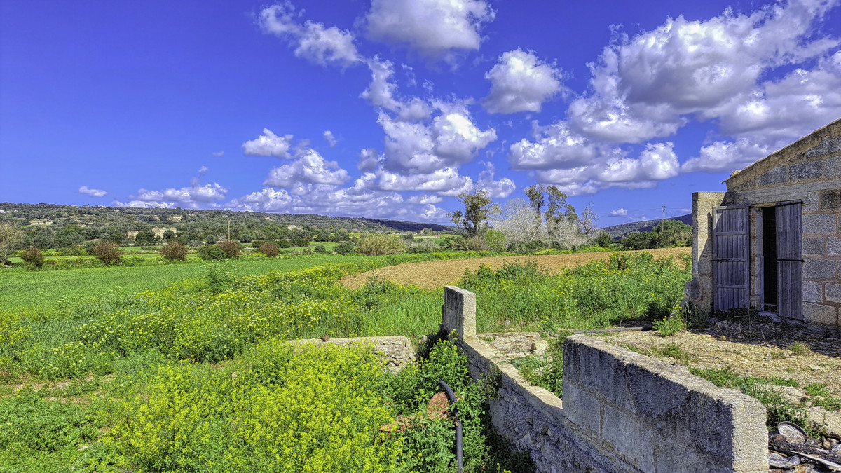 En-venta-gran-finca-con-casa-tradicional-posibilidad-de-reformar-y-construir-piscina-en-Manacor