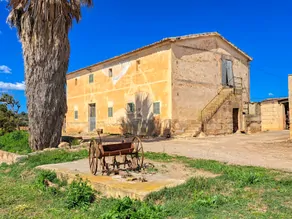 En-venta-gran-finca-con-casa-tradicional-posibilidad-de-reformar-y-construir-piscina-en-Manacor