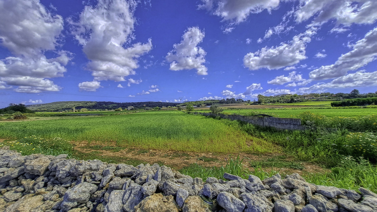 En-venta-gran-finca-con-casa-tradicional-posibilidad-de-reformar-y-construir-piscina-en-Manacor