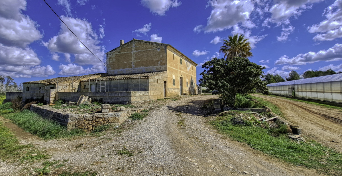 En-venta-gran-finca-con-casa-tradicional-posibilidad-de-reformar-y-construir-piscina-en-Manacor