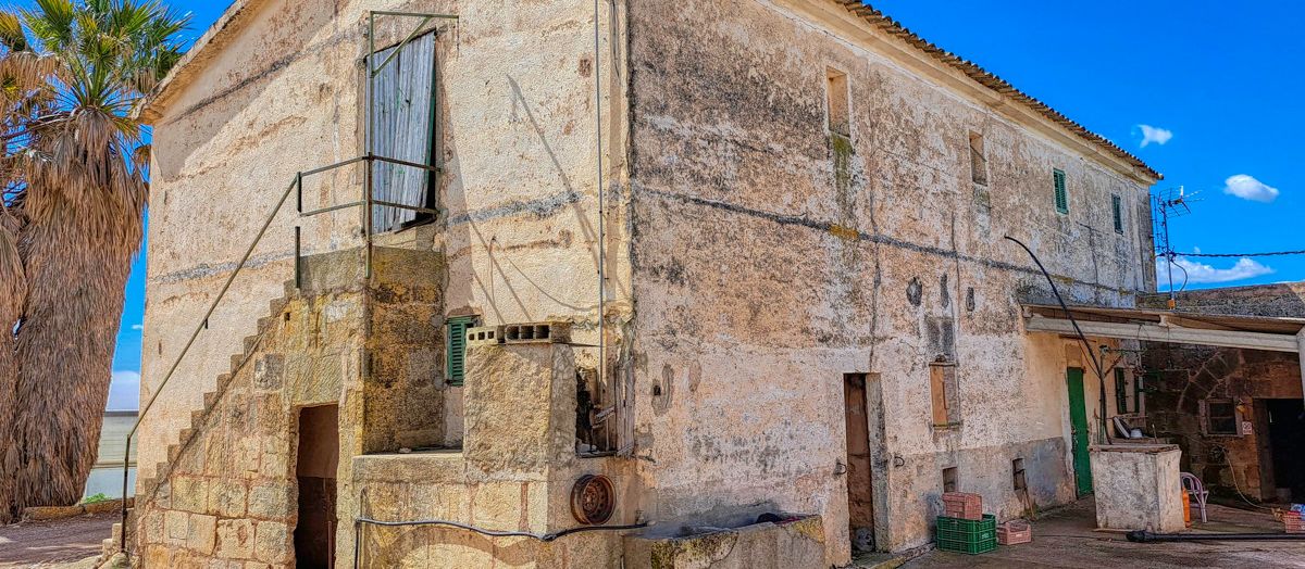 Zu-verkaufen-große-Finca-mit-traditionellem-Haus-Möglichkeit-zu-renovieren-und-Schwimmbad-zu-bauen-in-Manacor