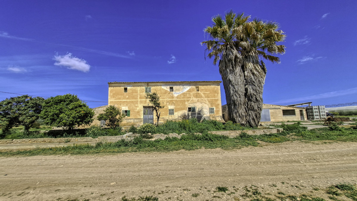 Zu-verkaufen-große-Finca-mit-traditionellem-Haus-Möglichkeit-zu-renovieren-und-Schwimmbad-zu-bauen-in-Manacor